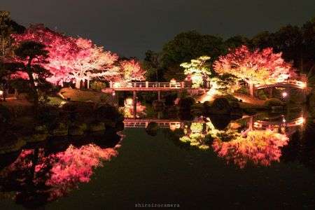 大仙公園ﾗｲﾄｱｯﾌﾟ