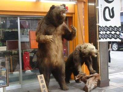 狸小路通路の熊さん