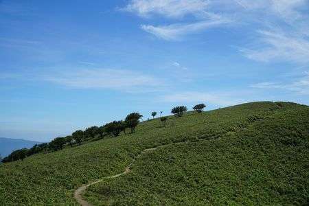 竜ヶ岳　鈴鹿１０座