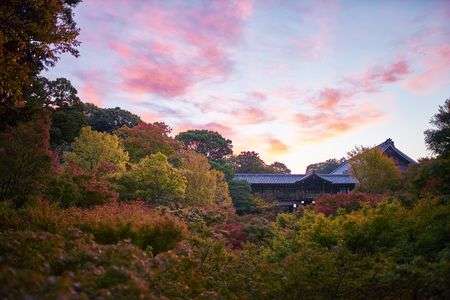 東福寺の朝焼け