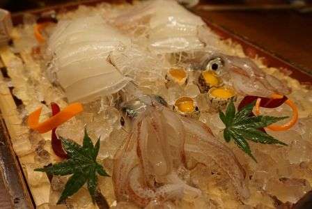 新鮮なものたち