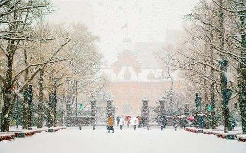 Snowing in Hokkaido