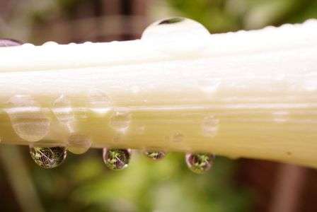 雫のなかには…