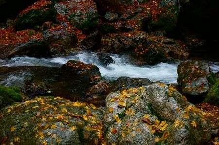 赤と黄色のグラデーション