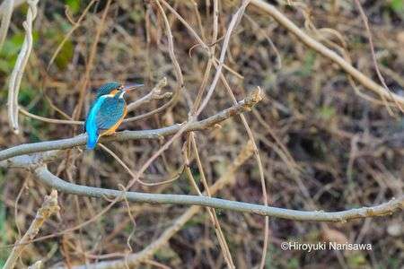 夫の帰りを待つ