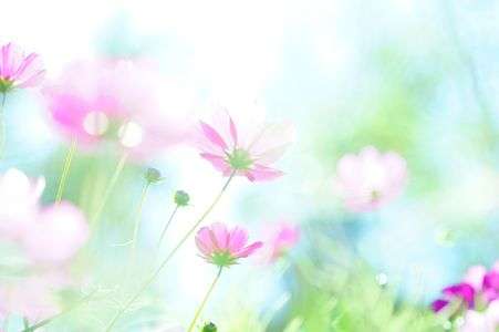 風に吹かれて･･･