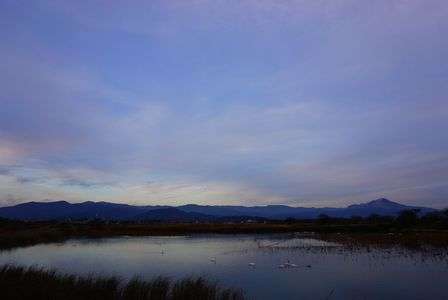 もう春なの？！