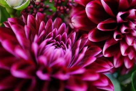 αセミナーに行ってきました