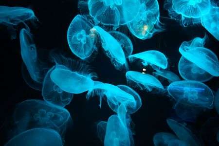 長崎に行ってきました３