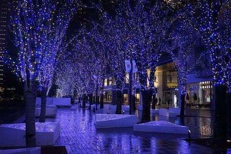 A break in the rain during Blue Christmas