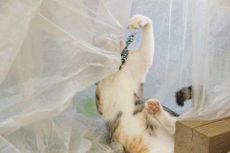 見えない敵との戦い。