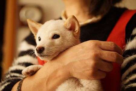 夜のひととき。