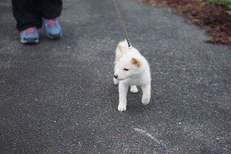 はやくはやく～
