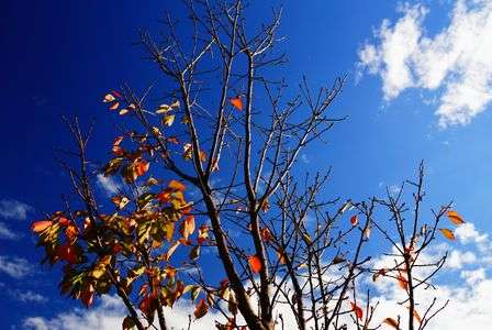 冬の訪れを感じる