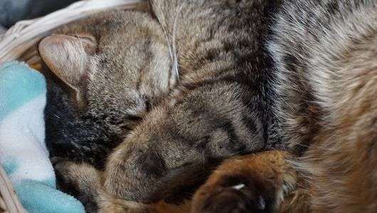 アチャー！顔隠された(^_^;)