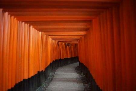 千本鳥居の中で