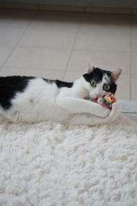 離しませんよ。