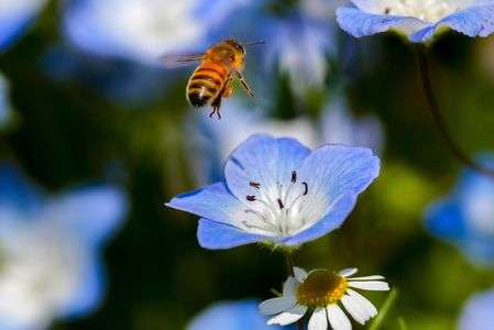 次なるターゲットへ