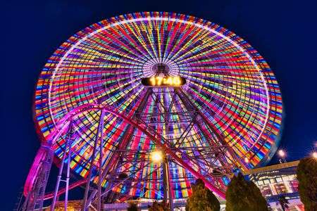 下から見上げてみた