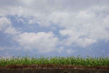 空に向かって背伸びー！