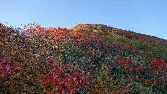 錦まとう磐梯山
