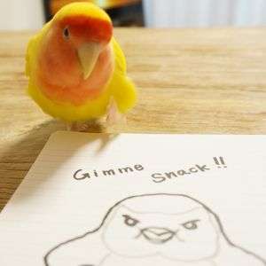 ひどいじゃないか!