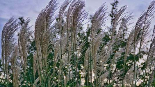 秋めいてきました！