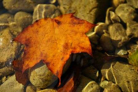 秋　仙北市（秋田）　