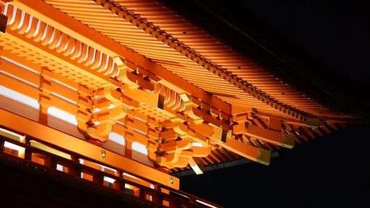 ＴＥＳＴ２（初望遠撮影）