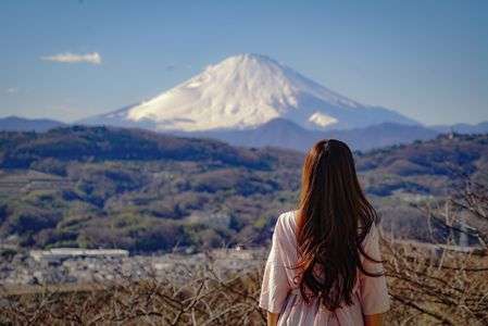 富士山に思いをよせて…