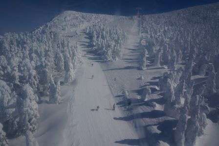 スノーモンスター達