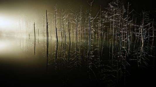 青い池　ライトアップ