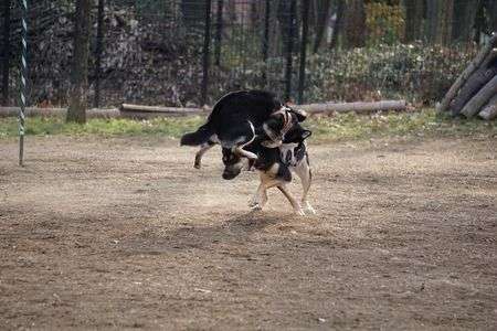 ハイジャンプ！