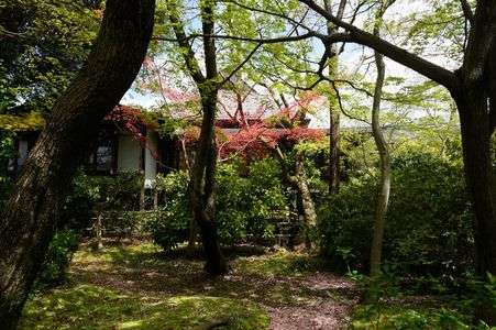 岡山の後楽園！