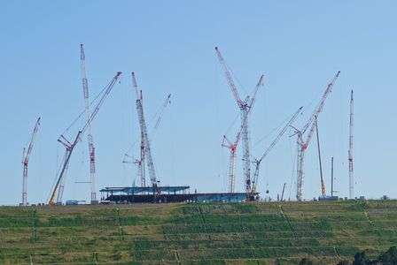 にょきにょきと👀