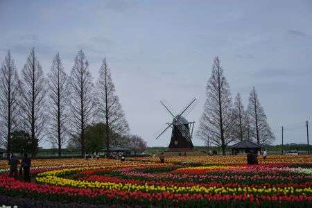 春のあけぼのやま