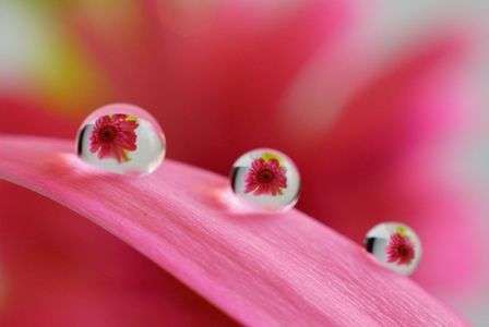 雫の中に～α体験会