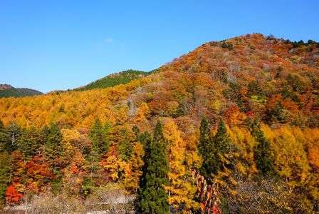 飛騨高山の紅葉