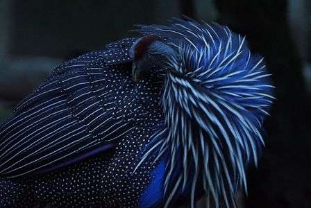 αカフェ体験会～東山動物園