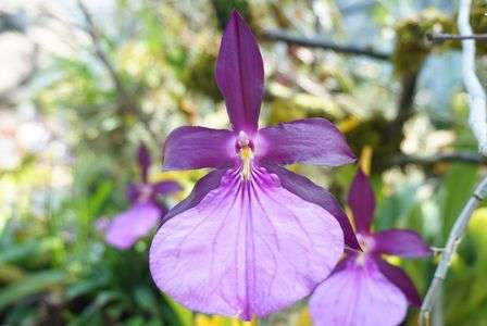 宝塚娘役トップスターさん❗