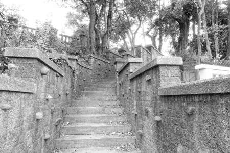 ラピュタっぽい