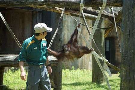 ズーラシアにて