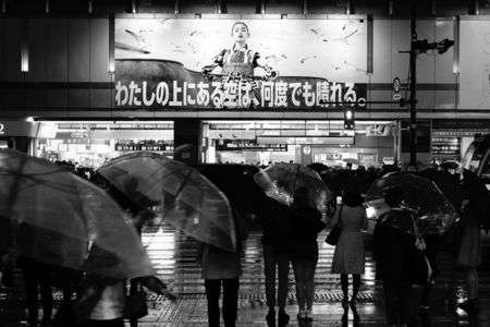 新宿は、雨
