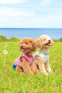 最高の笑顔♪( ´▽｀)