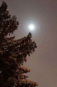 Christmas full moon....