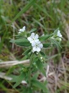 ビックり、ポン！！