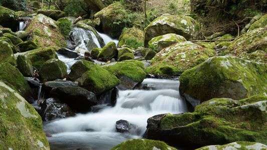 初めての長時間露光
