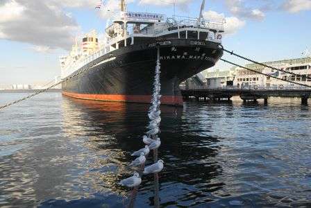 01-02-2015横浜新年会　中華街あったか～い食事後の山下公園は極寒