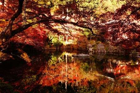 秋の醍醐寺