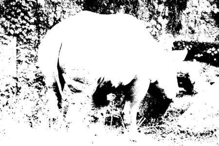 講師と行く   ～動物を撮ろうよ＠ZOO～　ストア大阪11周年記念 